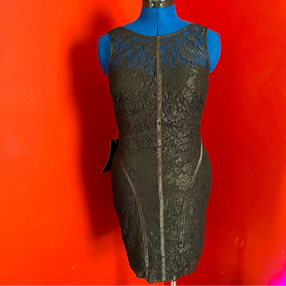NWT Bebe Frosty Lace Dress